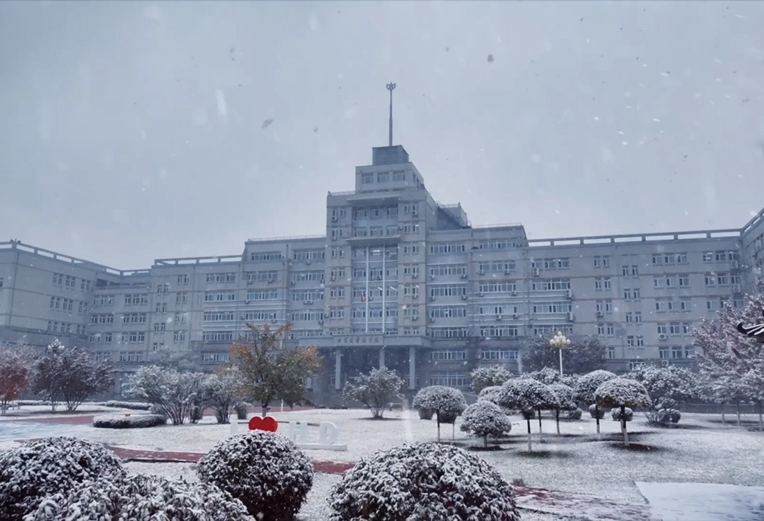 北国飞花，落雪为信，williamhill体育邀您共赴冰雪奇境！​