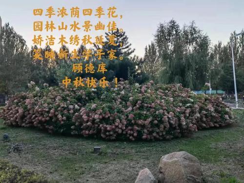 华德关爱浓 温情度中秋