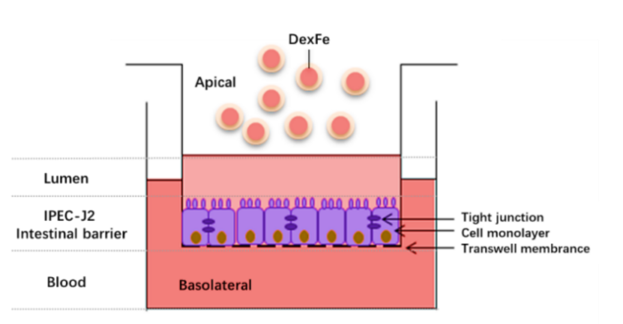 image.gif